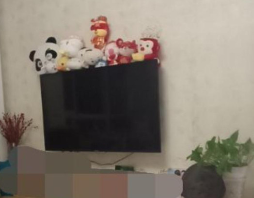 岳麓区梅溪湖家和苑房租出租